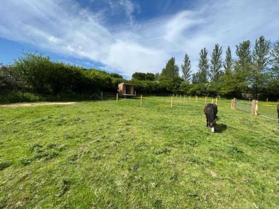 Neddys Rest Luxury Horsebox Stay Battle Exterior foto
